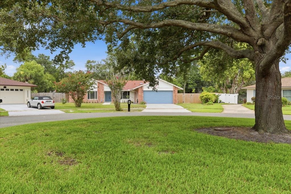 A single-story house with a blue garage door sits behind a large tree and lawn — 8495 CARAWAY COURT, ORLANDO, FL