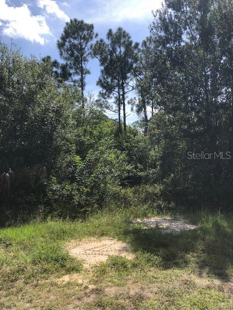 A view of a wooded lot with tall pine trees and patches of sandy ground — 13340 CAPPY TERRACE, PUNTA GORDA, FL