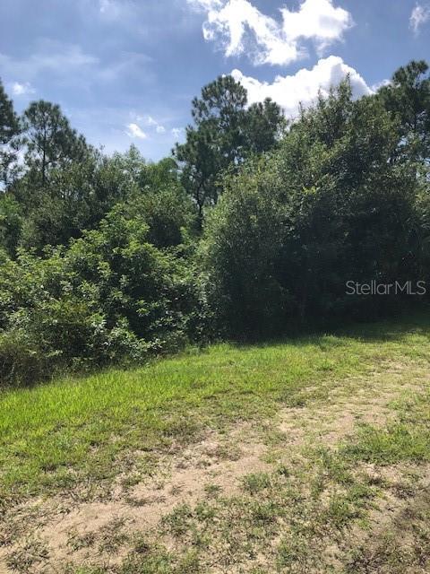 A grassy, partially cleared lot is bordered by a dense line of trees and shrubs — 13340 CAPPY TERRACE, PUNTA GORDA, FL