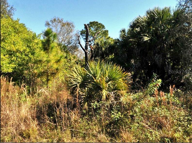 FIVELEAF ROAD, NORTH PORT, FL — photo 2 of 5