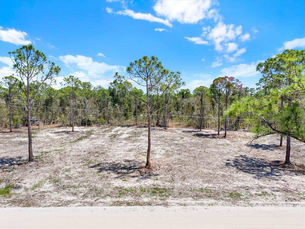 A vacant, sandy lot features scattered pine trees under a bright blue sky — 12278 FINWICK DRIVE, PUNTA GORDA, FL