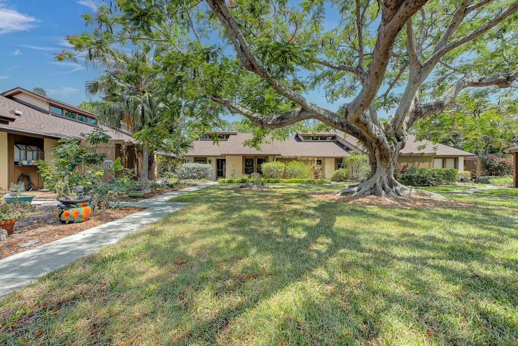 A large tree stands in the front yard of a single-story house with brown siding — 7620 4TH AVENUE W UNIT 7620, BRADENTON, FL