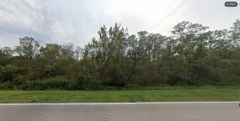 A view of a densely wooded, undeveloped lot from the edge of a paved road — CR-630, FROSTPROOF, FL