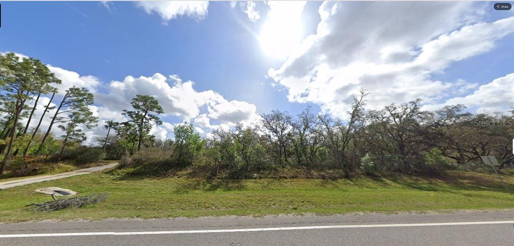 A grassy, undeveloped lot with scattered trees and shrubs sits along a paved road — COMMONWEALTH AVENUE N, POLK CITY, FL