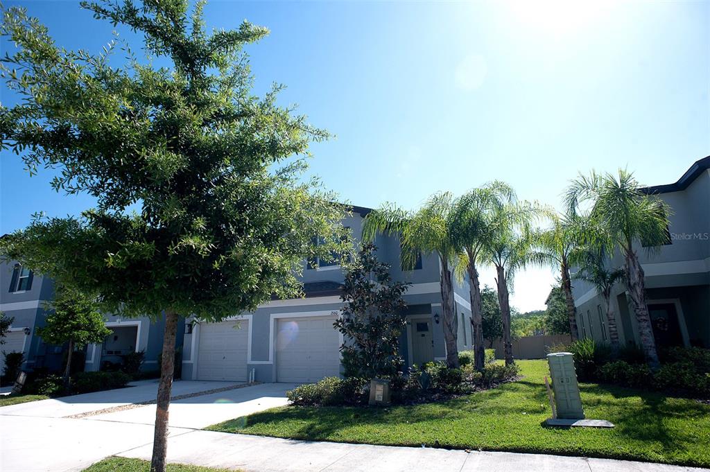 A two-story residential building with two garages and palm trees on a sunny day — 2160 CERULEAN SKY DRIVE, LUTZ, FL