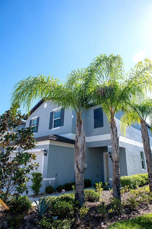 A two-story gray house with a dark roof is framed by several tall palm trees — 2160 CERULEAN SKY DRIVE, LUTZ, FL