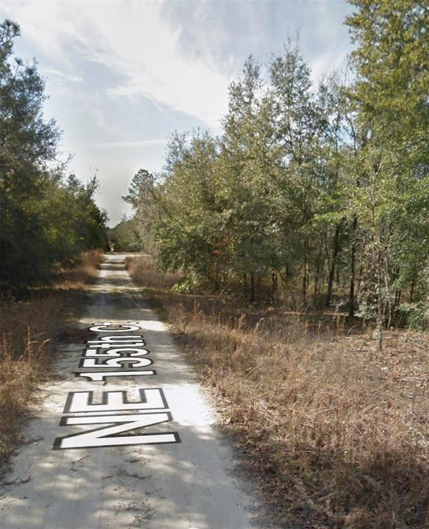 NE 155TH COURT, WILLISTON, FL — photo 3 of 5