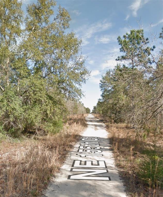 NE 155TH COURT, WILLISTON, FL — photo 4 of 5
