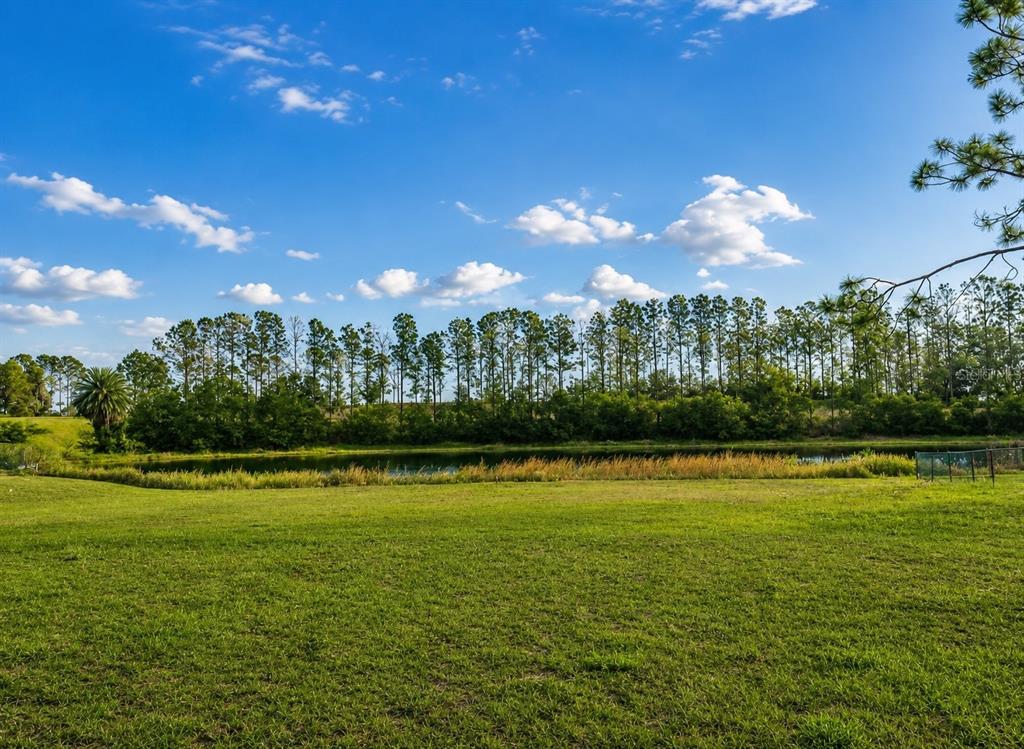A grassy field leads to a small pond bordered by a line of tall trees — LAKE DENISE BOULEVARD, CLERMONT, FL