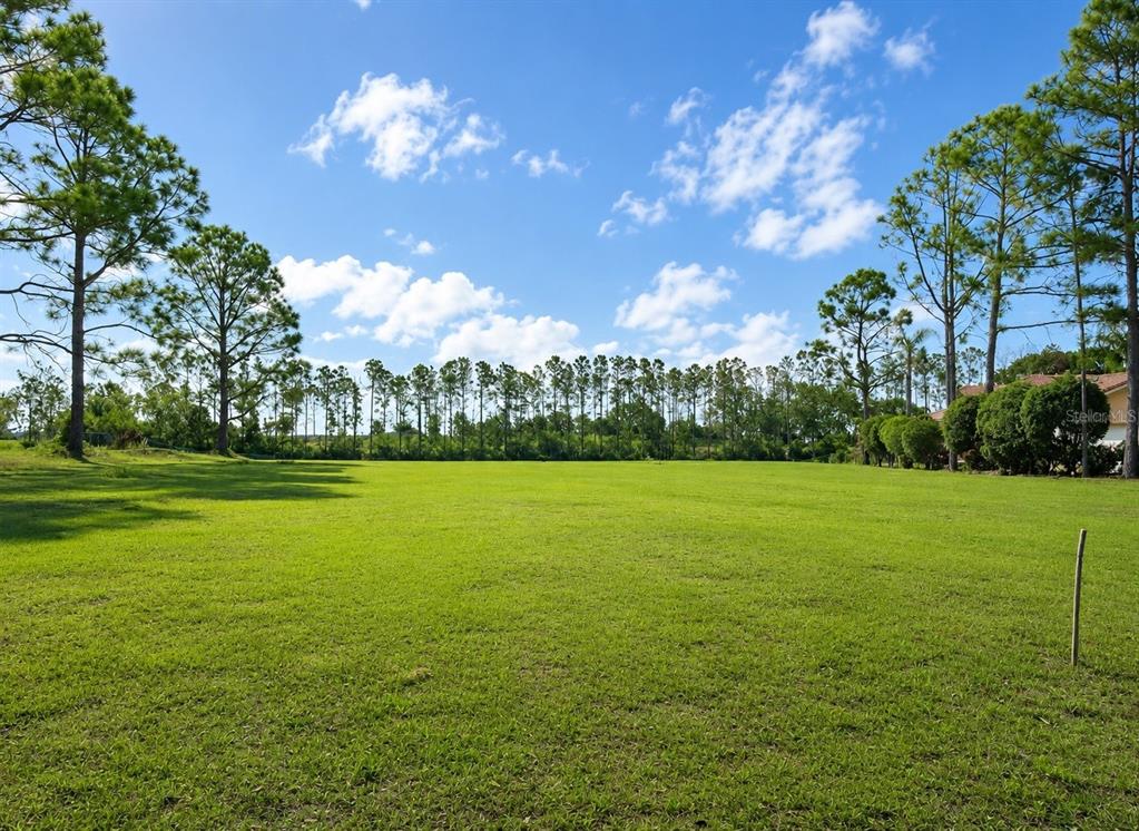 A large, grassy, open lot is bordered by tall pine trees under a blue sky — LAKE DENISE BOULEVARD, CLERMONT, FL