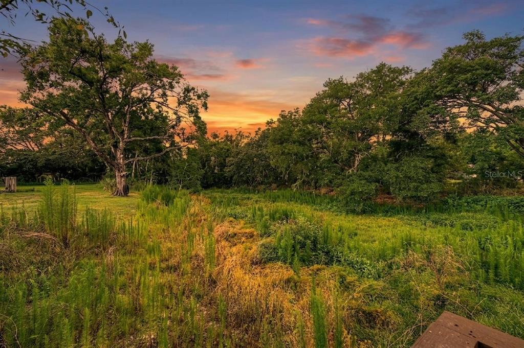 A grassy field with trees under a sunset sky — 2216 PINECREST DRIVE, LUTZ, FL