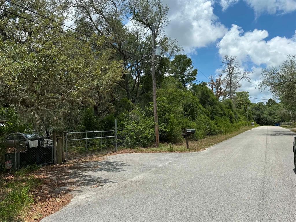 A gravel driveway leads to a gated entrance beside a wooded, undeveloped lot — 10051 WADDELL STREET, NEW PORT RICHEY, FL