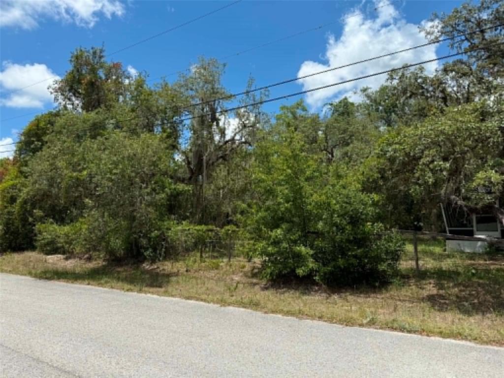A view of a wooded, fenced residential lot from an adjacent paved road — 10051 WADDELL STREET, NEW PORT RICHEY, FL