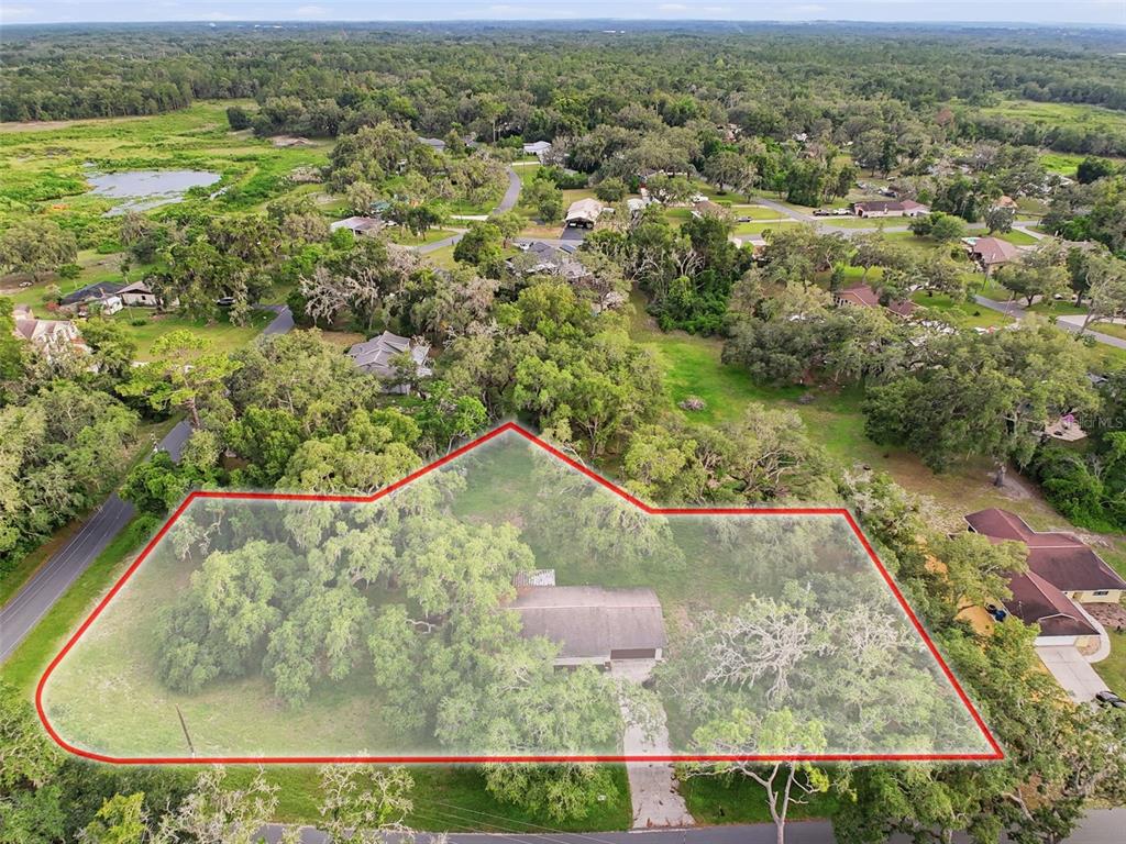 34696 ORCHID PARKWAY