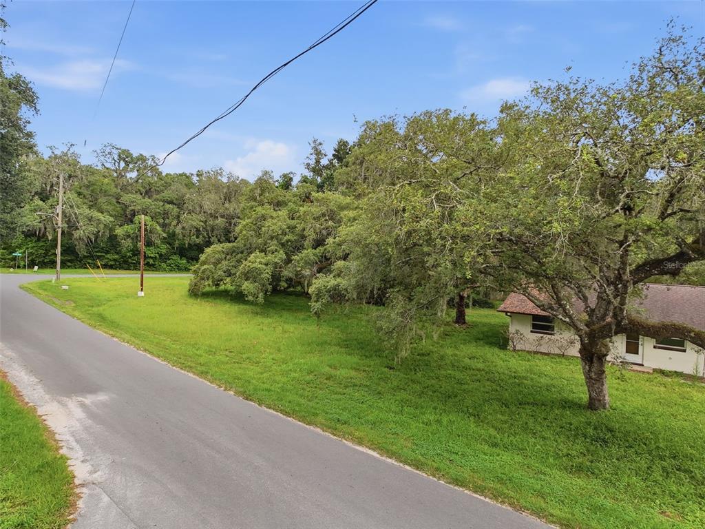 A paved road runs alongside a grassy lot with mature trees and a small house — 34696 ORCHID PARKWAY, DADE CITY, FL