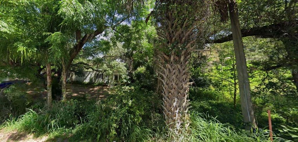 A house is partially obscured by dense trees and a prominent palm tree in the foreground — 9239 E TREASURE ISLAND AVENUE, LEESBURG, FL