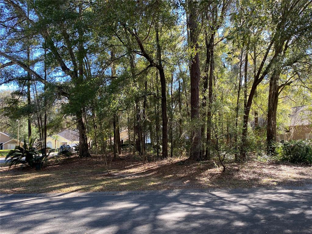 A wooded residential lot is viewed from the street with houses visible in the background — 12345 NW 10TH PLACE, NEWBERRY, FL