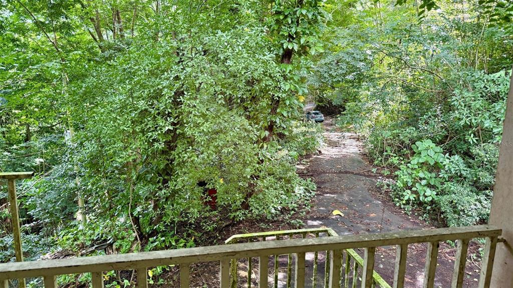 A view from a balcony overlooking a paved driveway surrounded by dense trees and foliage — KM 14.5 KM 14.5, CIALES, PR
