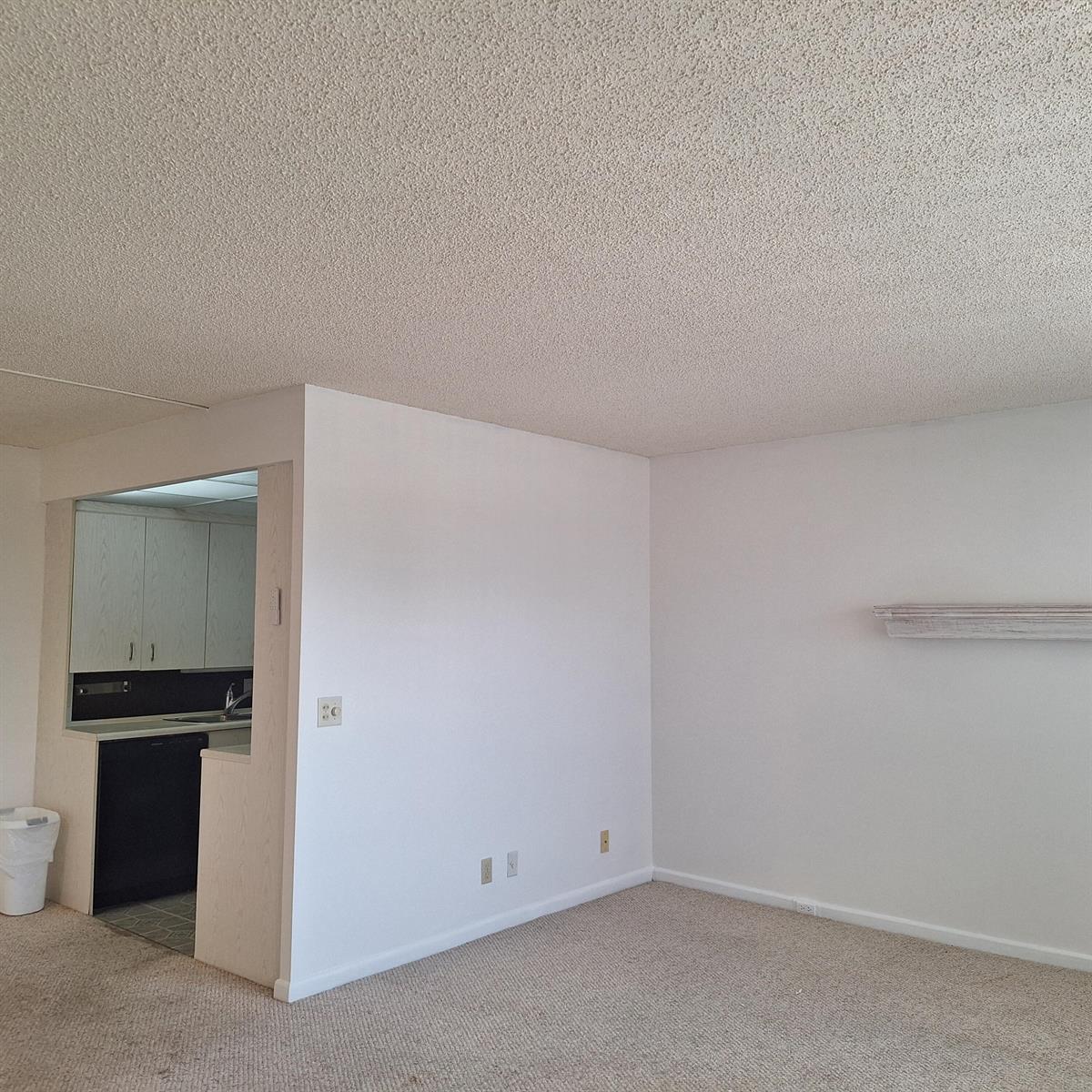 A living room with beige carpet and a popcorn ceiling opens to a small kitchen — 4007 Cornwall A # 4007, Boca Raton FL 33434, BOCA RATON, FL