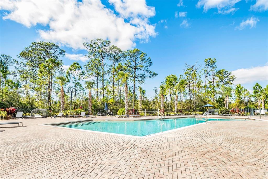 An outdoor swimming pool surrounded by a brick patio and tall pine trees — 14200 AVALON ROAD UNIT 302, WINTER GARDEN, FL