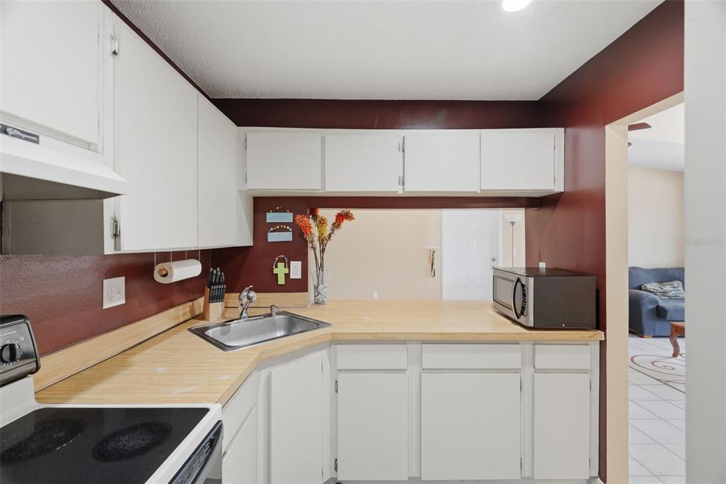 A kitchen features white cabinets, a light wood countertop, a stainless steel sink, and dark walls — 1182 PINE RIDGE CIRCLE W UNIT A3, TARPON SPRINGS, FL