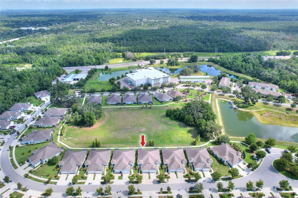 An aerial view shows a row of townhouses bordering an open green space and pond — 13531 CIRCA CROSSING DRIVE, LITHIA, FL