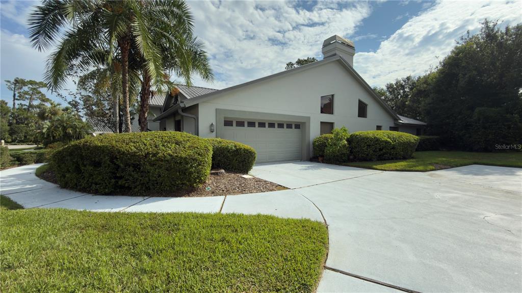 A light-colored house with a two-car garage, a chimney, and a large palm tree — 5040 PINELAKE ROAD, WESLEY CHAPEL, FL