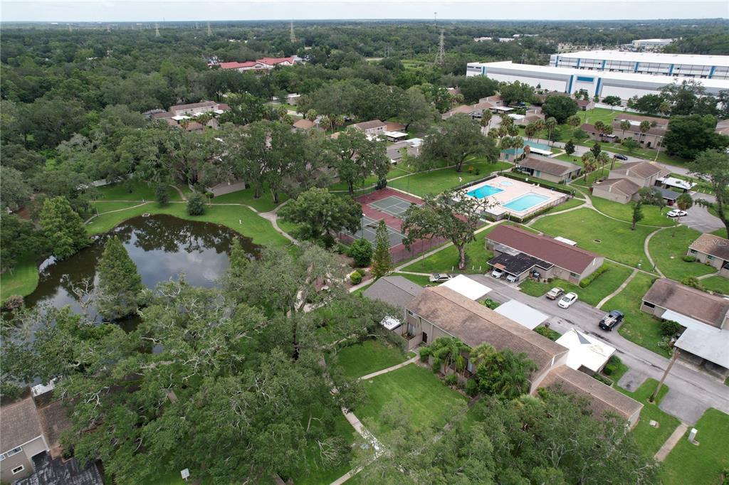 7907 SABAL DRIVE, TEMPLE TERRACE, FL — photo 3 of 30