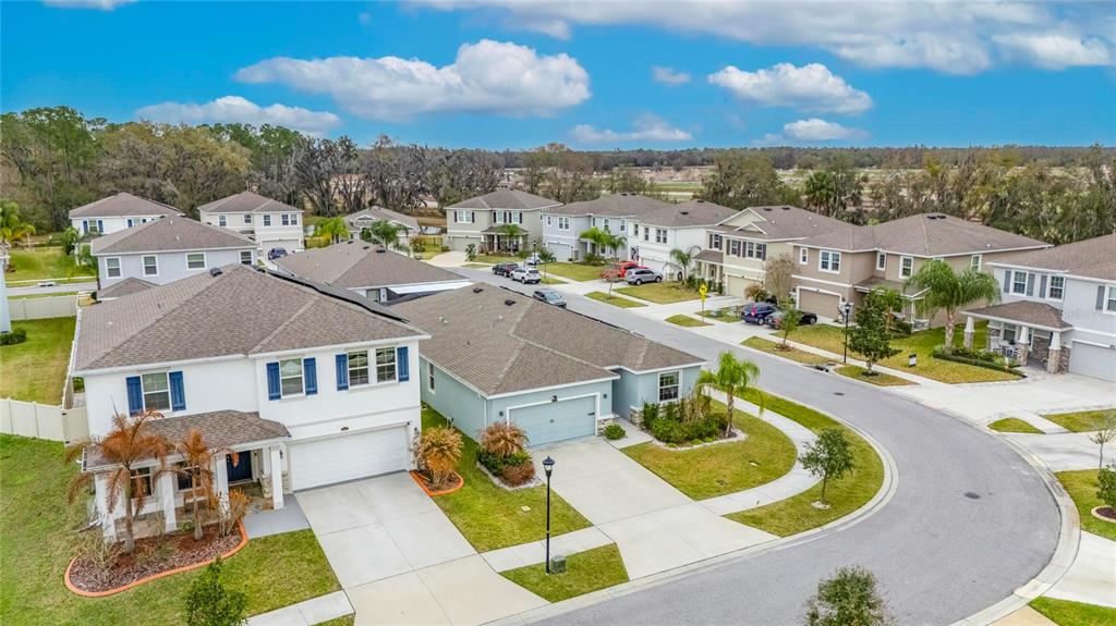 An aerial view of a suburban neighborhood featuring several two-story houses and a paved street — 33146 SAND CREEK DRIVE, WESLEY CHAPEL, FL