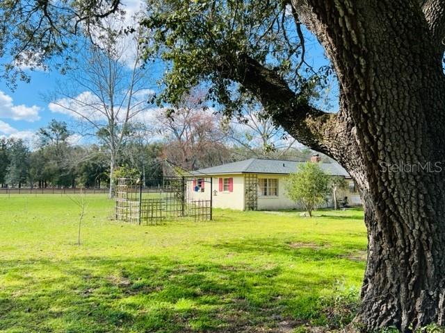 A light-colored house with red shutters sits on a grassy lot near a large tree — 10 SW 50TH AVENUE, BELL, FL