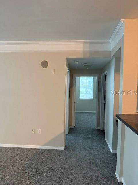 A carpeted hallway leads from a living area toward a room with a window — 3250 CORONA VILLAGE WAY UNIT 108, ORLANDO, FL