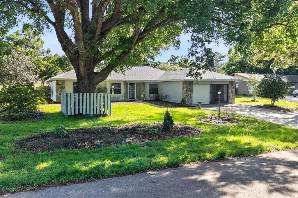 A single-story house with a stone facade, a large tree, and a fenced front yard — 2393 W FAIRWAY LOOP, CITRUS SPRINGS, FL