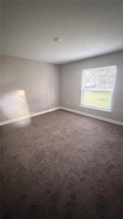 An empty bedroom features gray walls, brown carpet, and a single window with blinds — 2117 WINGER AVENUE, HAINES CITY, FL
