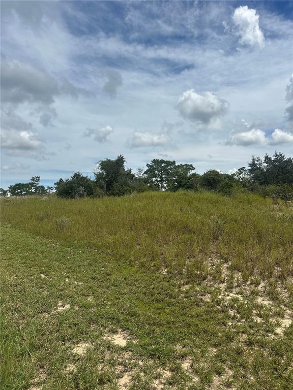 1348 HOMOSASSA COURT