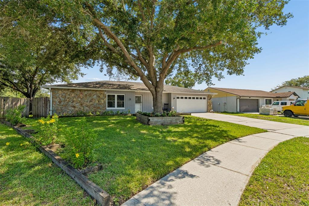 A single-story house with a stone facade, a large tree, and a concrete driveway — 16205 SAWGRASS CIRCLE, TAMPA, FL