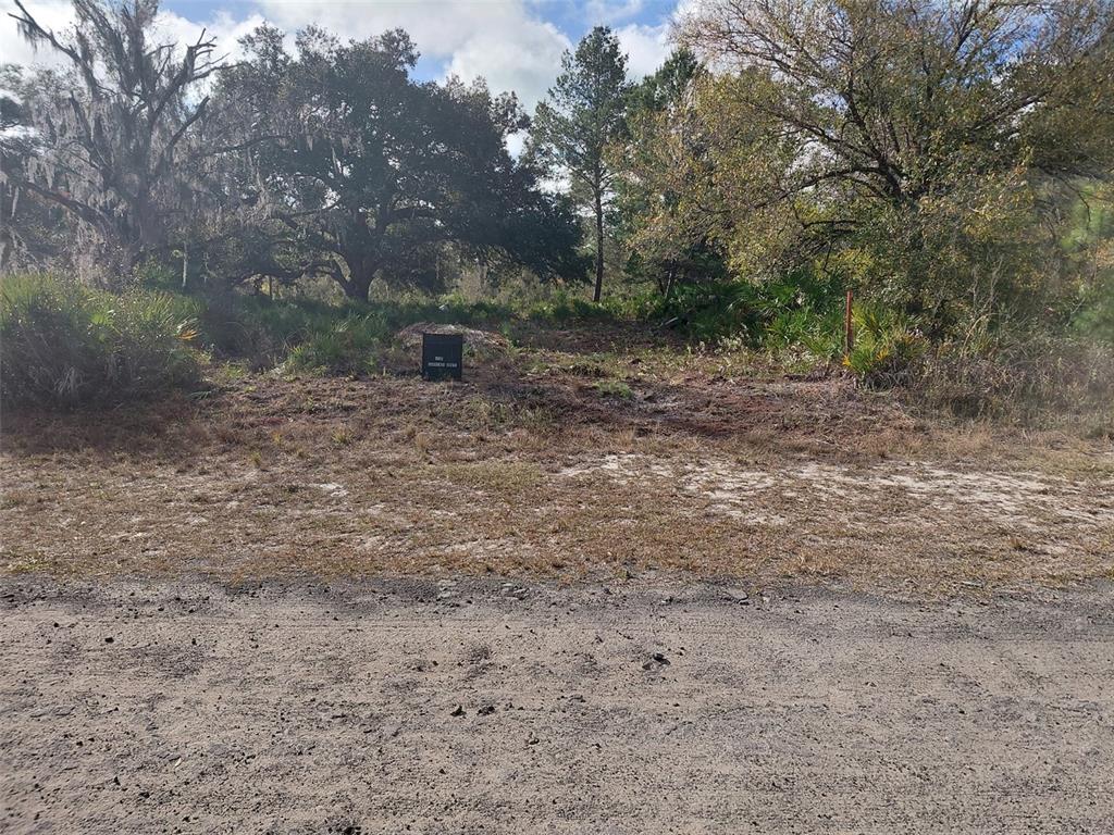 A dirt road leads to a cleared, wooded residential lot with a small black utility box — 4311 GARDENIA DRIVE, INDIAN LAKE ESTATES, FL
