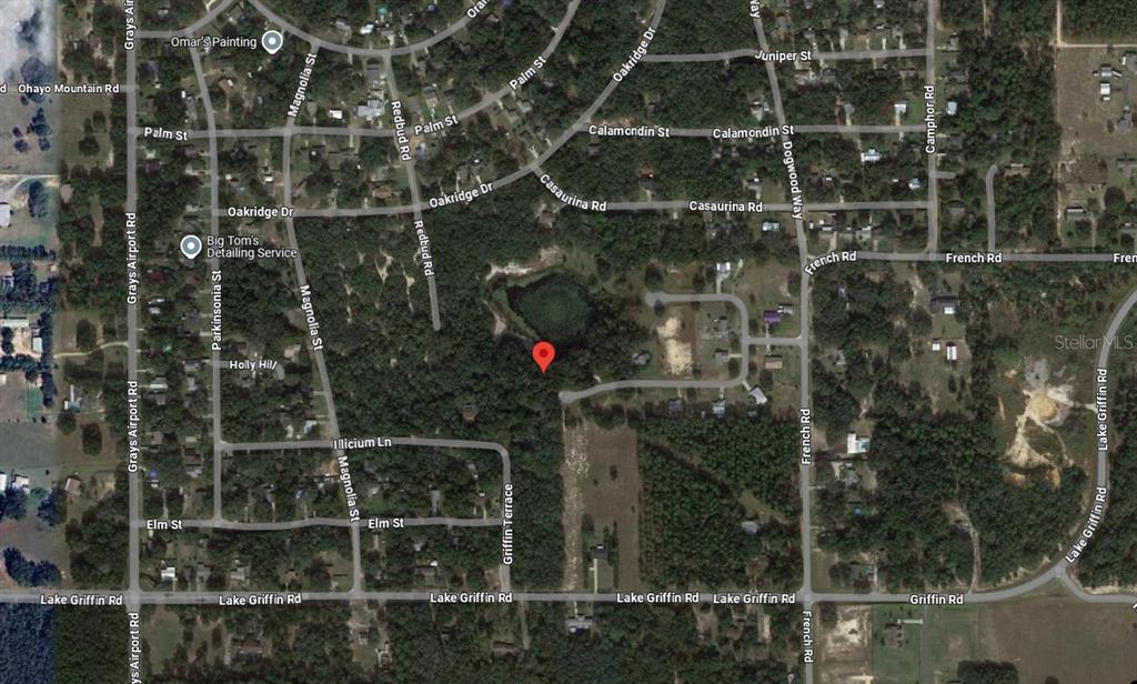 TBD REDBUD ROAD, LADY LAKE, FL — photo 3 of 4