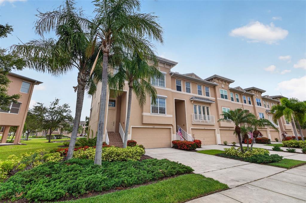 A row of three-story tan townhouses with garages, palm trees, and landscaped front yards — 7172 ISLAMORADA CIRCLE, SEMINOLE, FL