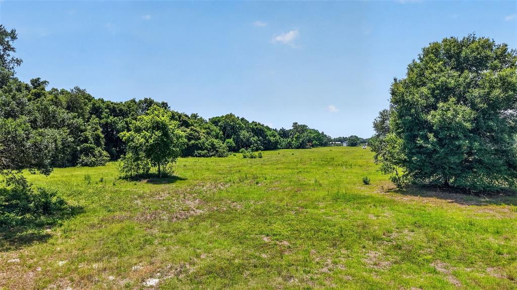 A large, grassy, undeveloped lot is bordered by dense trees under a blue sky — 7755 CR 714, CENTER HILL, FL
