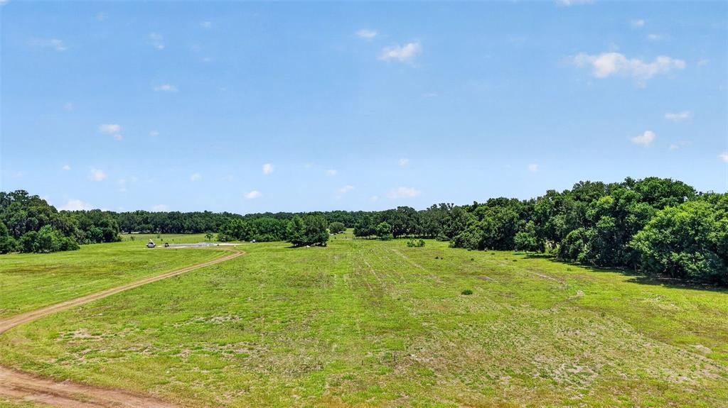 A wide, grassy field is bordered by a line of trees under a blue sky — 7755 CR 714, CENTER HILL, FL