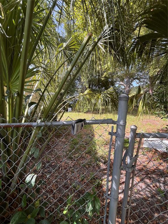 A chain-link fence with a padlock attached stands in front of palm trees and vegetation — 3702 OHIO AVENUE, TAMPA, FL
