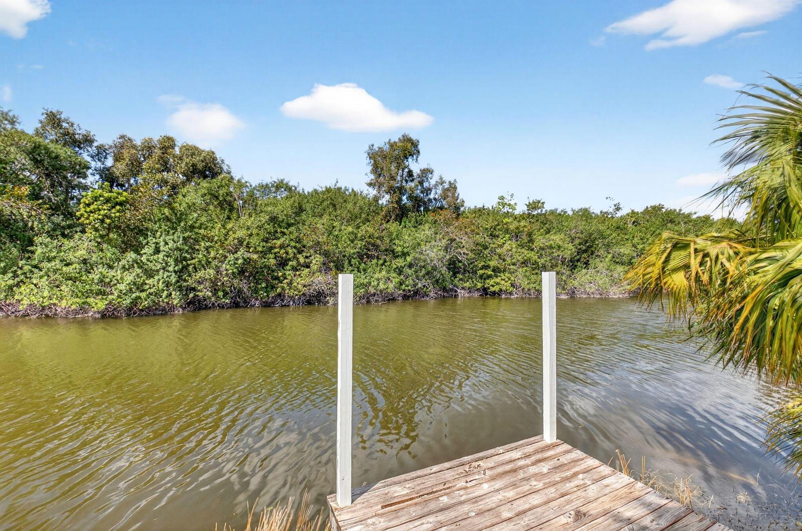A wooden dock extends into a calm, murky canal bordered by dense green trees — 10965 La Reina Road, Delray Beach FL 33446, DELRAY BEACH, FL