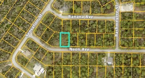 This is an aerial map showing a vacant lot highlighted in teal along Neon Avenue — NEON AVENUE, NORTH PORT, FL