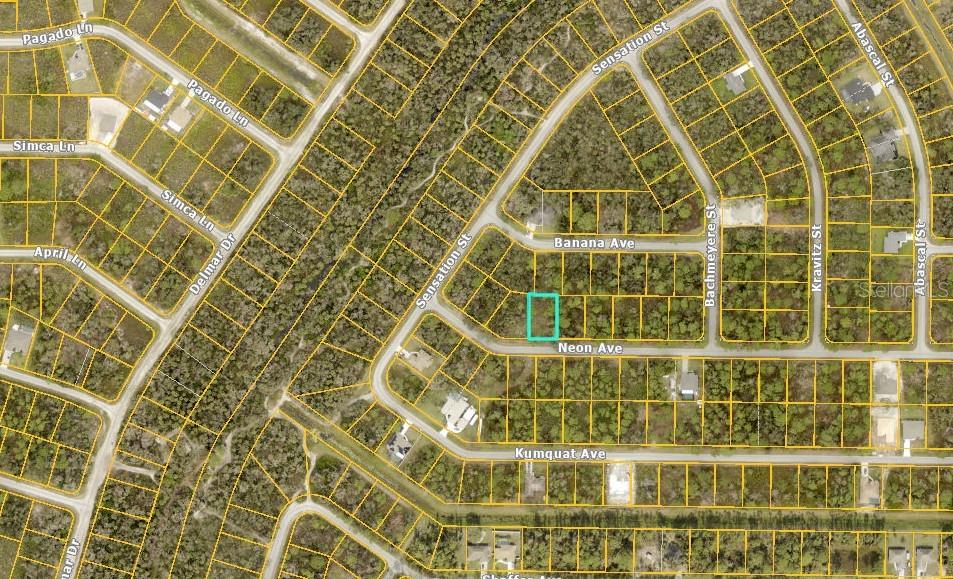 This is an aerial map showing a vacant residential lot highlighted in teal on Neon Avenue — NEON AVENUE, NORTH PORT, FL