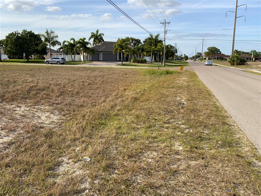 A vacant, grassy lot sits beside a paved road with palm trees and houses nearby — 2000 SW 28TH TERRACE, CAPE CORAL, FL