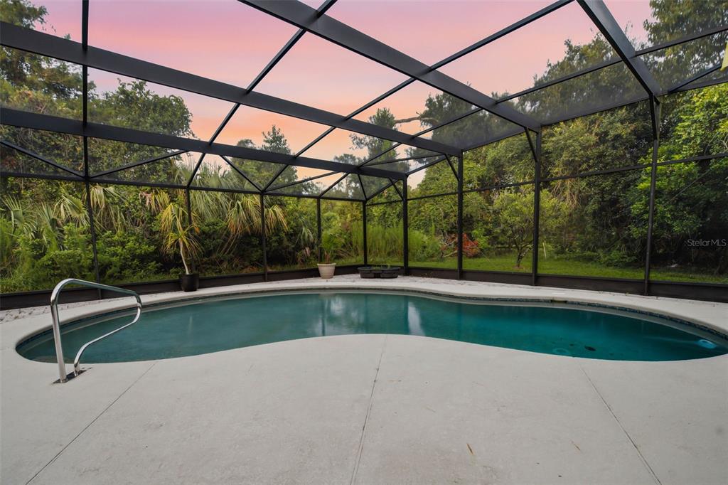 A kidney-shaped swimming pool is enclosed by a black metal screen cage overlooking lush greenery — 1690 TALLAPOOSA DRIVE, GENEVA, FL