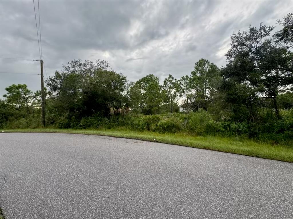 A paved road runs in front of a vacant, wooded lot under a cloudy sky — 0 TORGERSON STREET, NORTH PORT, FL