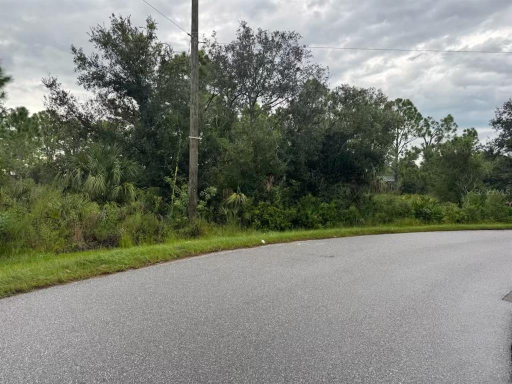 A paved road curves in front of a densely wooded, undeveloped residential lot — 0 TORGERSON STREET, NORTH PORT, FL