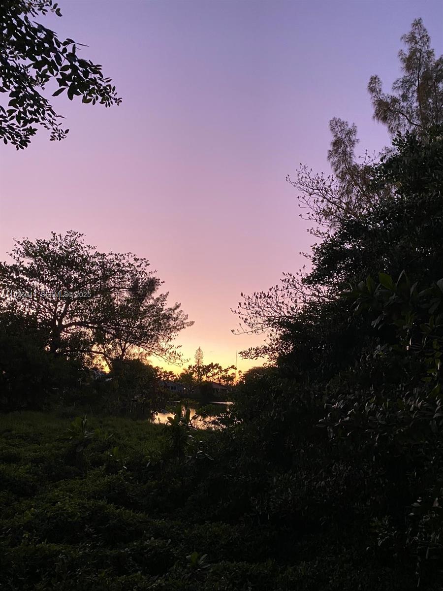 A view of a sunset over a pond framed by trees and foliage — 0 SW 10th Ave, Hallandale Beach FL 33009, HALLANDALE BEACH, FL