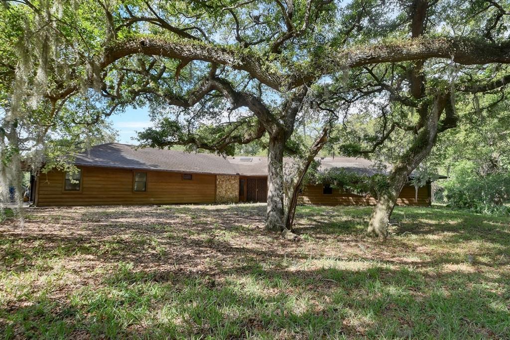 A single-story wood-sided house sits behind large oak trees with Spanish moss — 175 BAYWOOD DRIVE, OAK HILL, FL